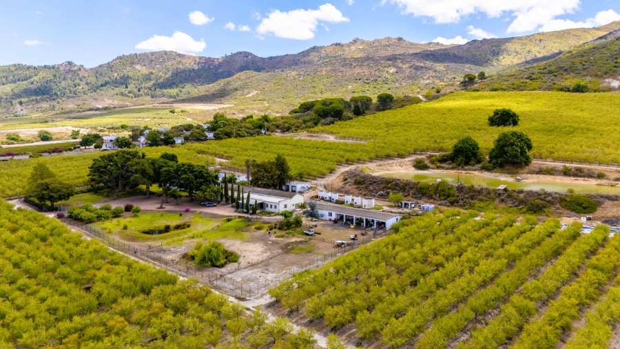 5 Bedroom Property for Sale in Paarl Rural Western Cape